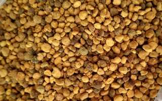 Перга пчелиная в гранулах — польза и правильное употребление