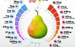 Химический состав груши — что внутри этого фрукта