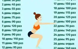Как потерять жир булочки за 10 дней