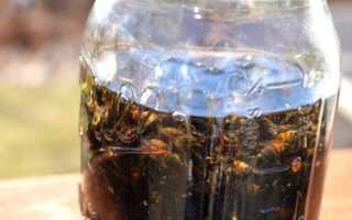 Пчелиный подмор на водке — что лечит и как принимать