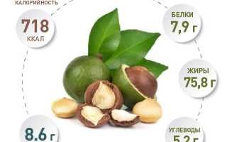 Макадамия — польза и вред для женского здоровья