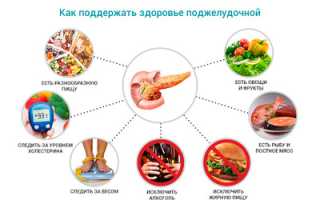 Что любит поджелудочная — факторы, влияющие на ее здоровье