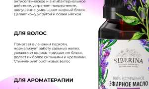 Польза лаванды для здоровья и красоты