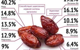 Финики — Польза и Вред для Здоровья