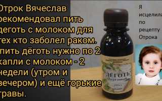 Пить деготь с молоком — безопасный способ и полезные советы