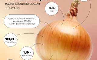 Польза лука — богатый источник витаминов