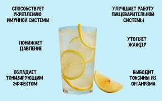 Состав воды с лимоном — польза и содержание