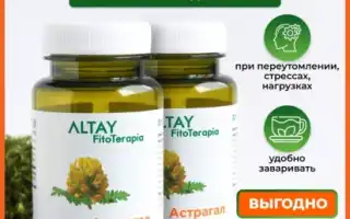 Аспаргал — Лекарство от усталости и стресса