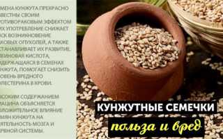 Химический состав кунжута — полезные свойства и компоненты