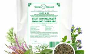 Травы для повышения потенции — польза и эффективность