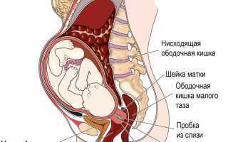 Боль внизу живота на 37 неделе беременности — причины и что делать