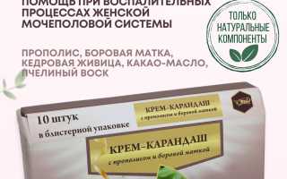 Применение боровой матки при эндометриозе — эффективные методы лечения