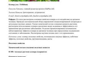 Клевер — Полная Инструкция по Применению и Пользе