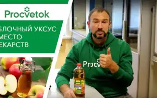 Пить яблочный уксус каждый день — последствия для здоровья