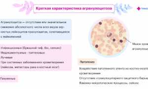 Повышение уровня гранулоцитов — причины и последствия