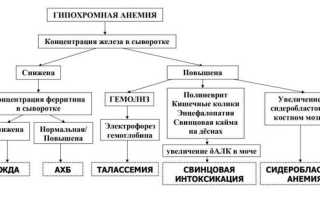 Гипохромия в анализе крови у детей — причины и последствия