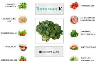 Витамин К — Топ продуктов с высоким содержанием