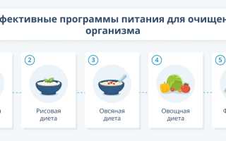 Очищение организма для эффективного похудения