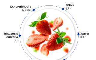 Клубника — богатый источник витаминов и микроэлементов