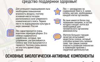 Польза семян льна для организма