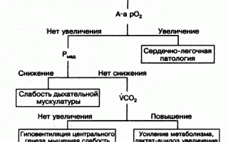 Гиперкапния — что это и как влияет на организм