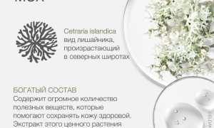 Исландский мох — Лечебные свойства и применение