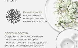 Исландский мох — Лечебные свойства и применение