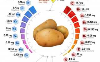 Химический состав картофеля — что внутри?