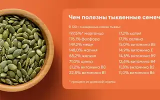 Витамины в тыквенных семечках — польза для здоровья
