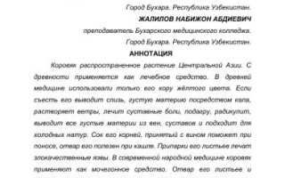 Коровяк — Полезные Свойства и Использование в Медицине