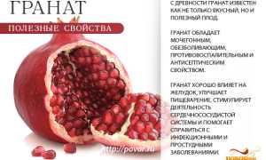 Гранат — польза для здоровья детей