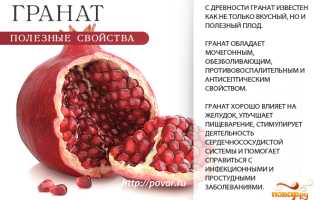 Гранат — польза для здоровья детей