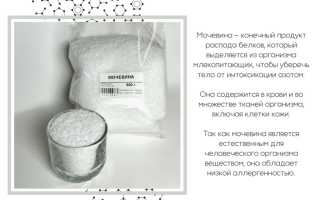 Мочевина в косметике: состав и содержание мочевины в косметике