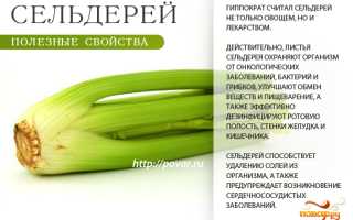 Сельдерей и подагра — польза или вред?