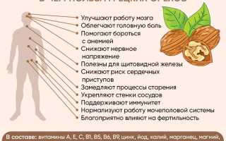 Грецкий орех — польза для женского здоровья