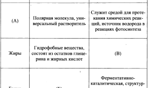 Липиды и белки — что общего и в чем различия?