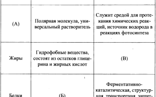 Липиды и белки — что общего и в чем различия?
