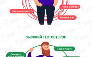 Продукты, которые снижают уровень тестостерона у мужчин — полный список