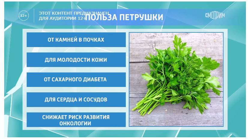 Польза петрушки — трава для здоровья и красоты