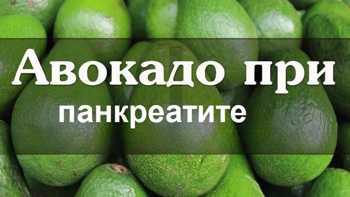 Авокадо и панкреатит — польза или вред?