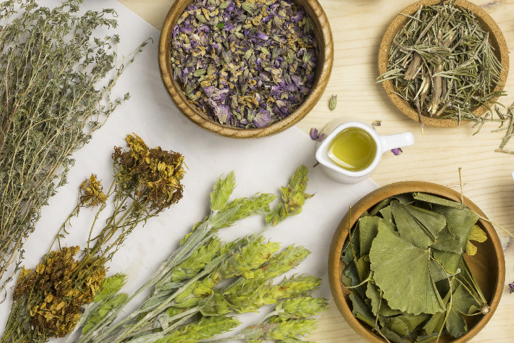 Эффективные противовирусные травы — защита организма натуральными средствами