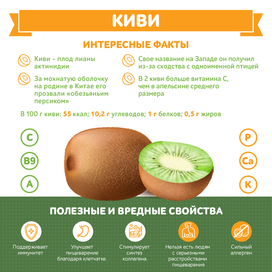 Киви при гастрите — можно ли есть?