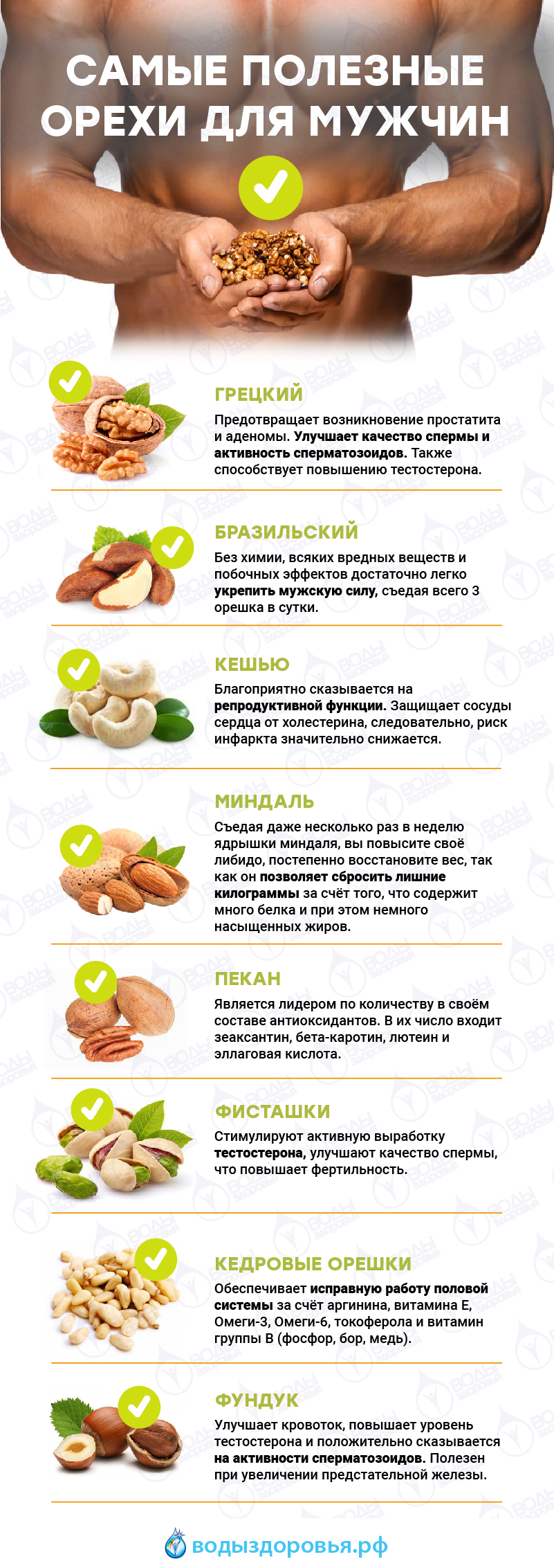 Орехи — Природный Источник Мужской Силы и Потенции