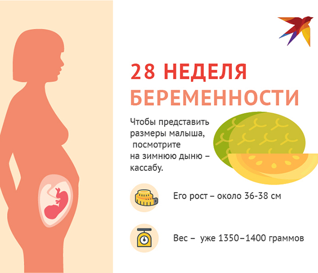 Боли внизу живота на 28 неделе беременности — что делать?