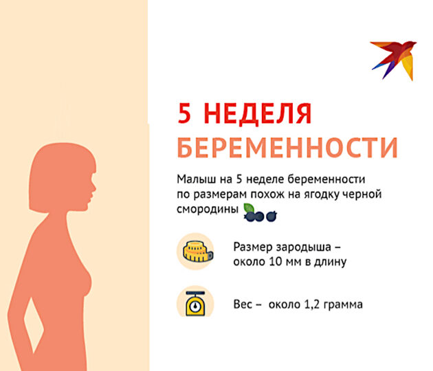 Боль внизу живота на 5 неделе беременности — причины и что делать