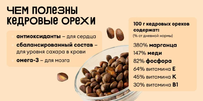 Кедровый орех — польза и вред для здоровья