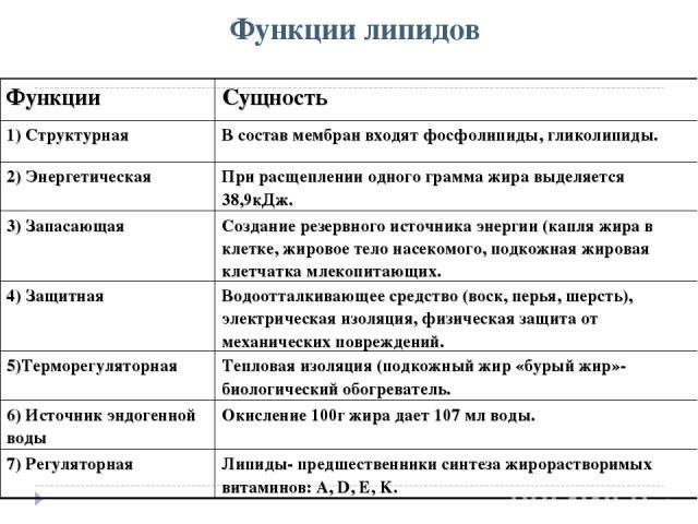 Функции простых липидов в организме