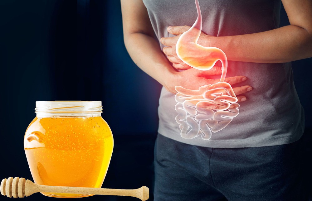 Мед при гастрите и панкреатите — можно ли употреблять?