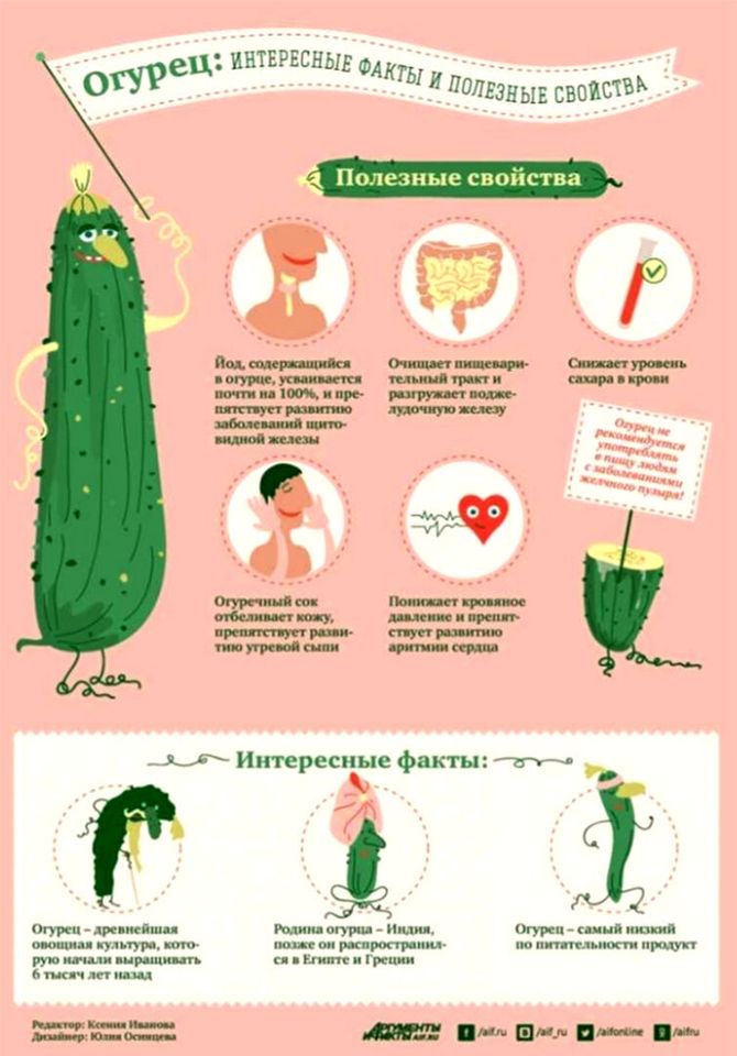 Содержание витамина С в огурце