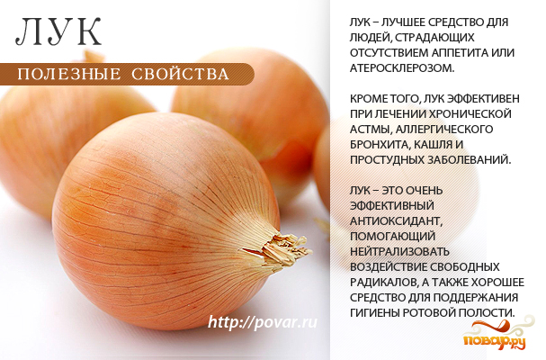Польза сырого репчатого лука для женщин после 40 лет